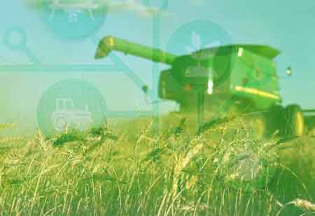 The Future of Grain Handling: Powered by Technology